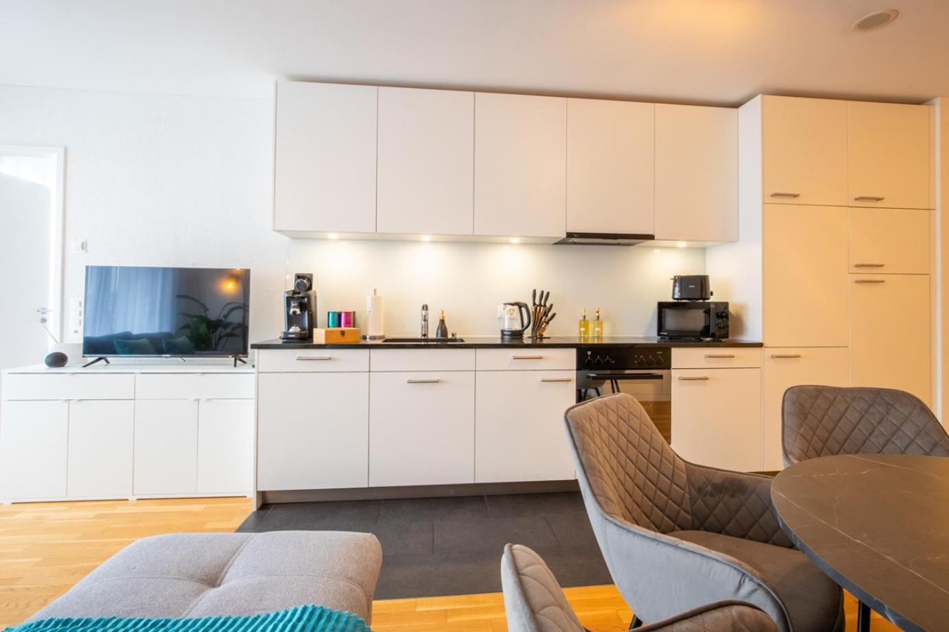 Special Einstein II Apartment Basel, Messe Kleinbasel 10-Star Esterno foto